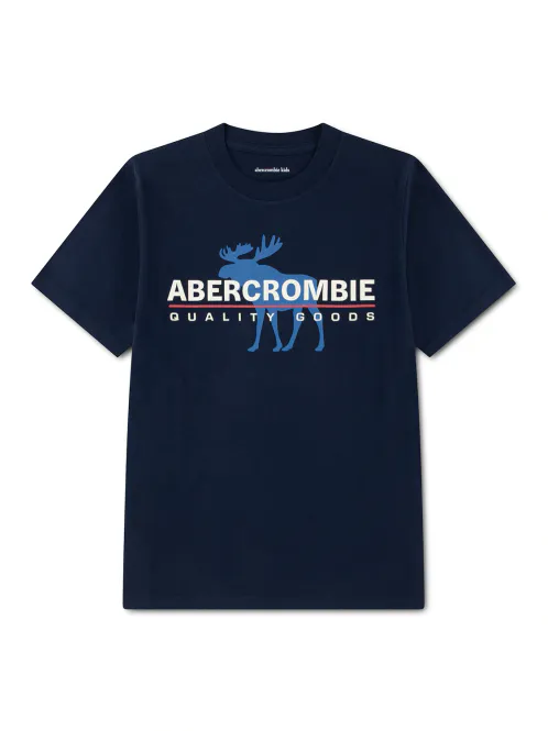 Hovedbilde ABERCROMBIE YTK CORE LOGO T-SKJORTE